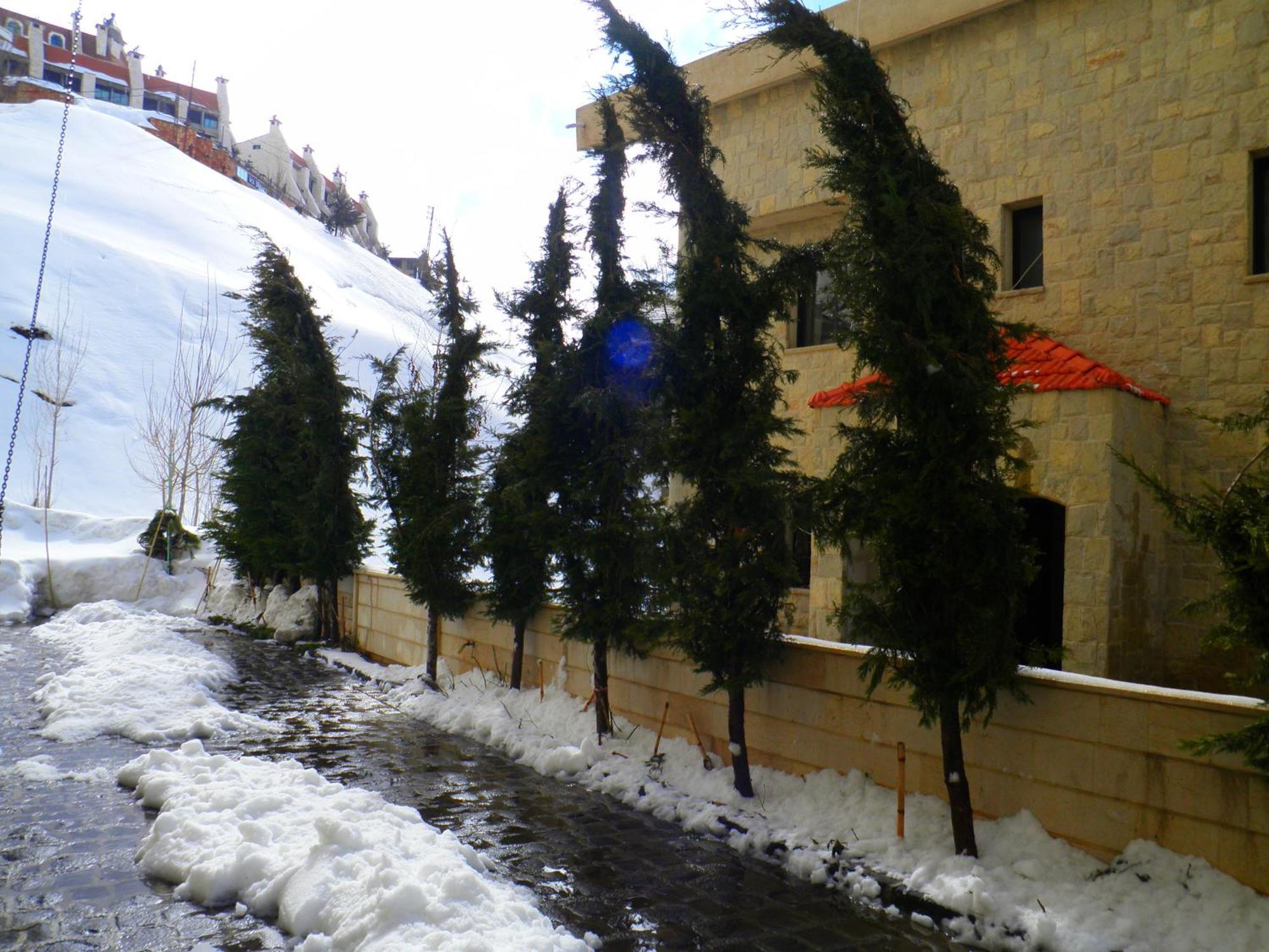 Stone Chalets Fārayyā Exteriér fotografie