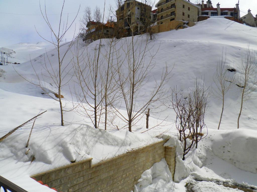 Stone Chalets Fārayyā Pokoj fotografie
